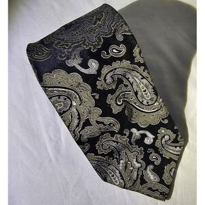 Black Paisley Silk Tie w/ Silver & Gold Accents